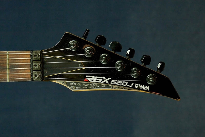 RGX 600 range